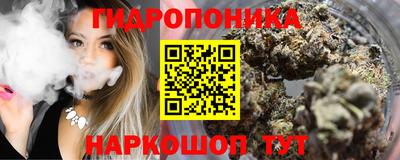 гидропоника Аша