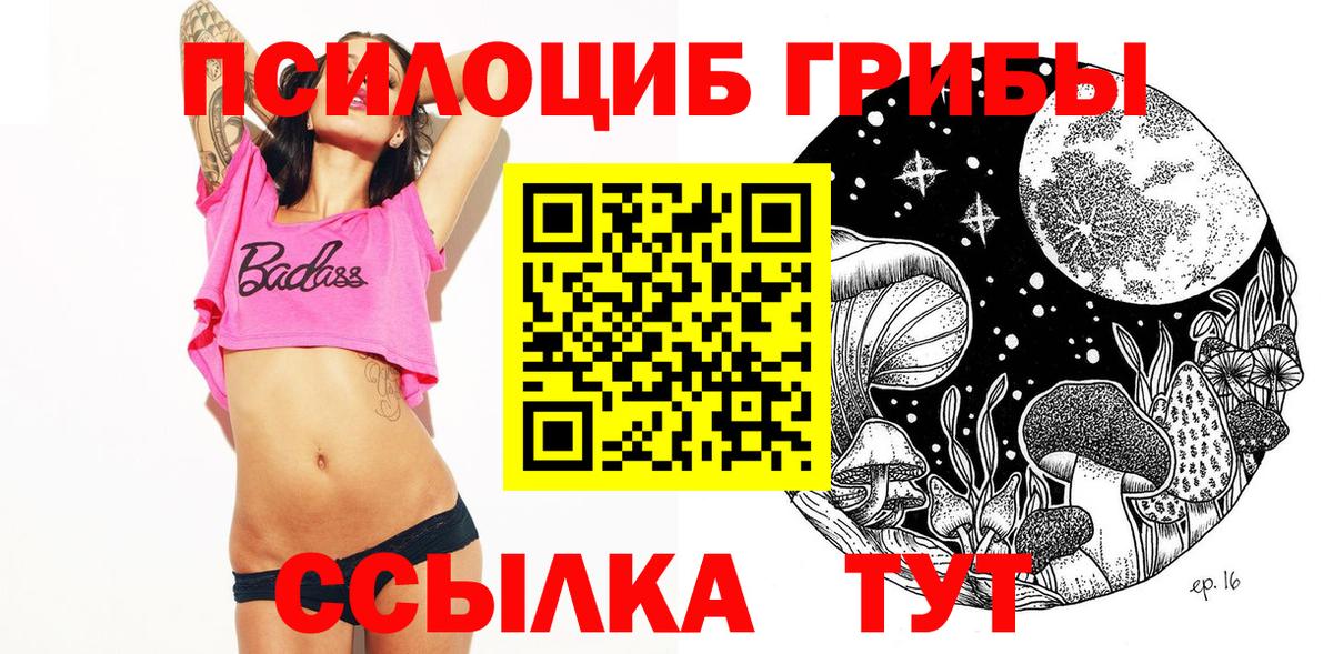 Псилоцибиновые грибы Cubensis Грозный