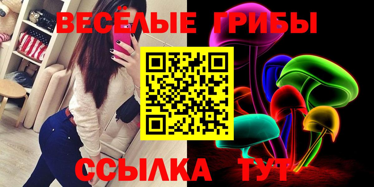 где найти наркотики  Вход с VPN  Грозный  Псилоцибиновые грибы MAGIC MUSHROOMS  Галлюциногенные грибы Magic Shrooms 